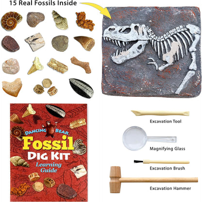 DANCING BEAR Fossil Dig Kit, Excavate 15 Prehistoric Fossils including Real Dinosaur Bones, and Shark Teeth, Paleontology STEM Education for kids, Fun Science Activity Gift Sets for Girls and Boys