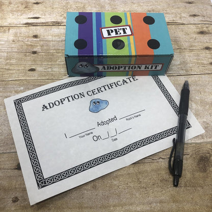 Rock Pet Adoption Kit Funny Novelty Gag Gift (Green Eyes)