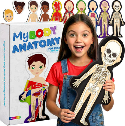 MyBODY Large Human Body Anatomy Model for Kids & Teens - Bottom-to-Top Magnetic Assembly Toy & Educational Learning Kit with Skeleton Base, 7 Puzzle Layers incl. Muscular, Digestive & Nervous Systems