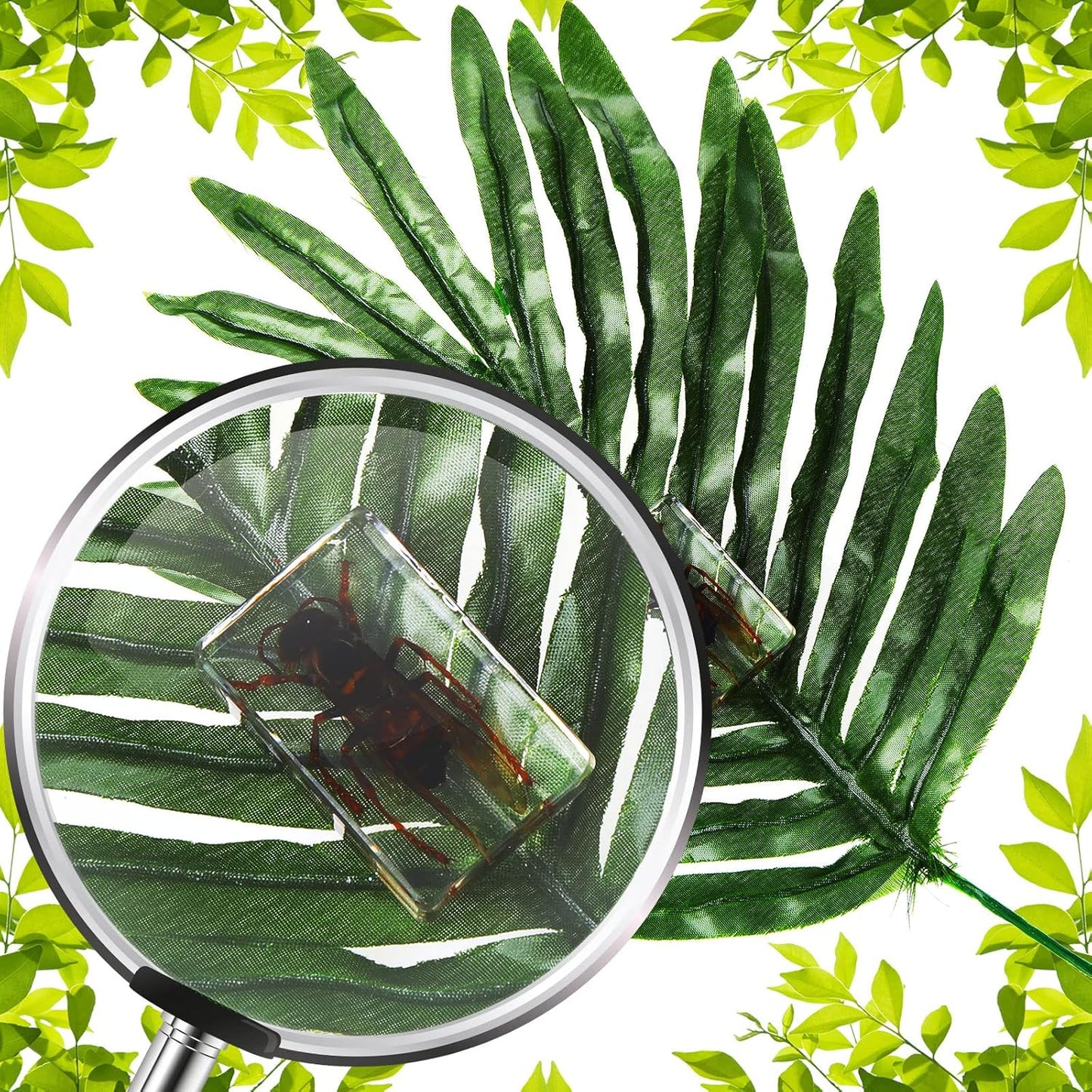 Macarrie 12 Pcs Insect Specimens for Kids Bug Collection Kit Real Specimens of Various Butterflies Beetles Classroom Science Education Animal Collection Bug Preserved Biology(Ladybug)
