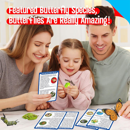 15 Plant Life Circle Flashcards with 4 Plastic Figurines-Seed to Plant, Plants Introduction Card Plants Growth Details for Nature Lovers & Adults, Montessori Toy for Kids