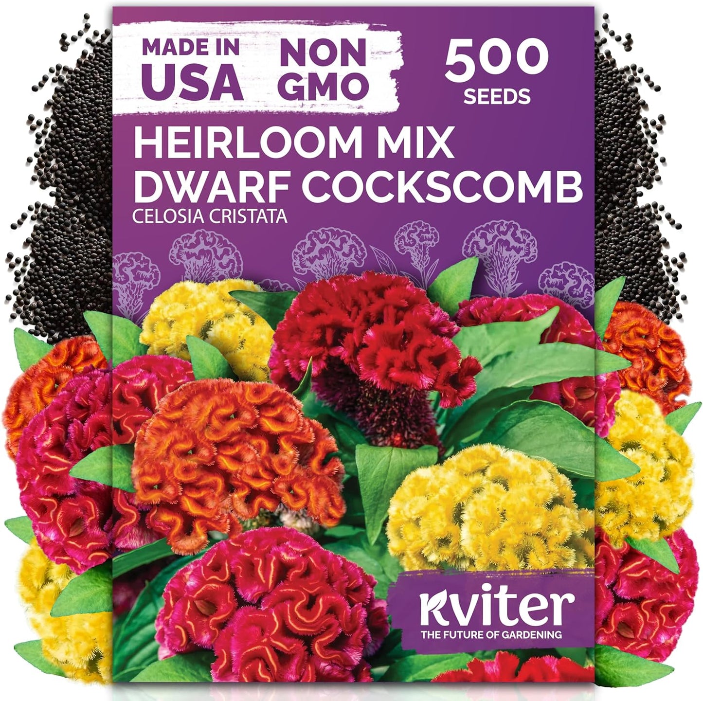 KVITER 5,500 Fairy Bouquet Mix Snapdragon Seeds for Planting (Linaria Maroccana) – Known as Toadflax, Heirloom & Organic – Flower Seeds to Plant Outside & Inside – Garden, Containers, Borders, Beds