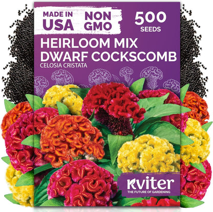 KVITER 5,500 Fairy Bouquet Mix Snapdragon Seeds for Planting (Linaria Maroccana) – Known as Toadflax, Heirloom & Organic – Flower Seeds to Plant Outside & Inside – Garden, Containers, Borders, Beds