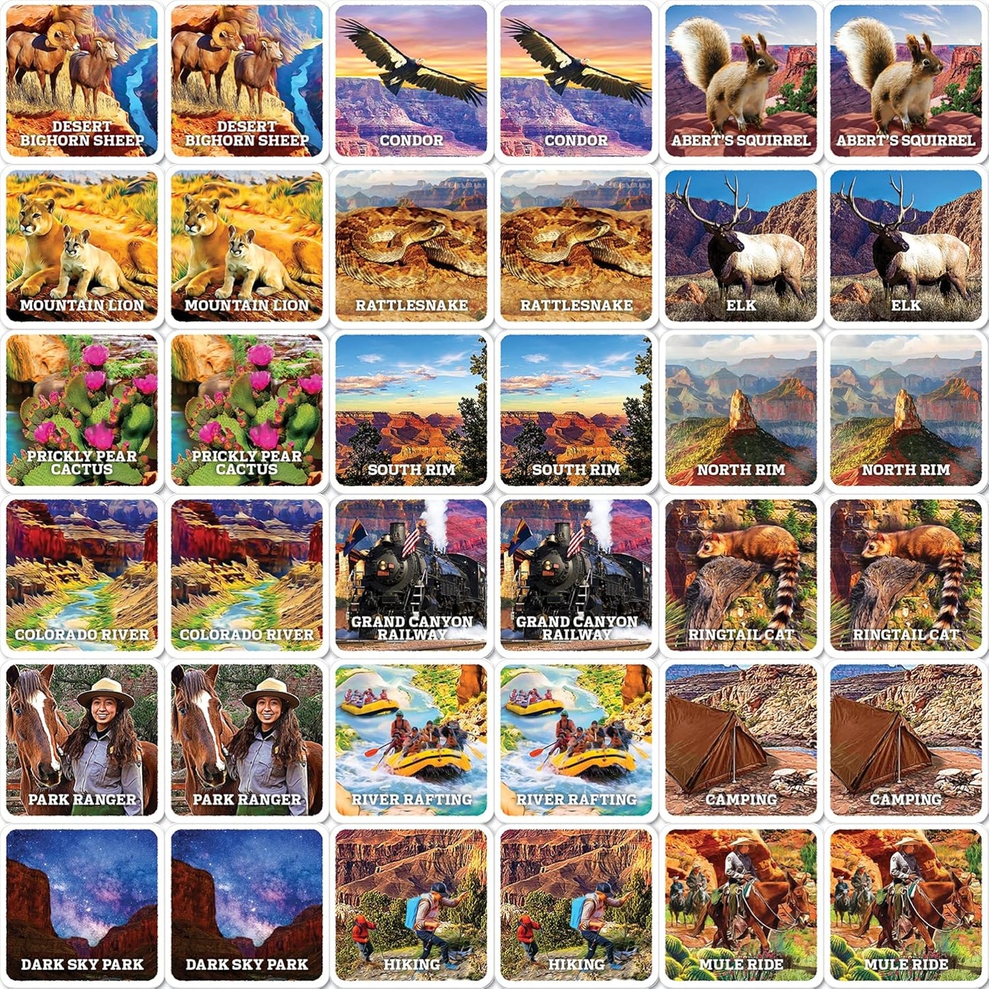 MasterPieces Officially Licensed CAT Picture Matching Card Game for Kids and Families