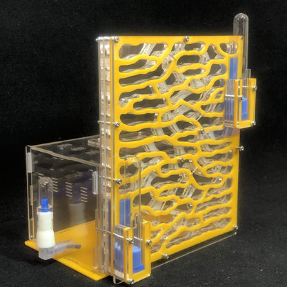19.5 * 15 * 22cm Large Viewing Area - Care for Live Ants,moisturing arylic ant Habitat for STEM Learning (Green)