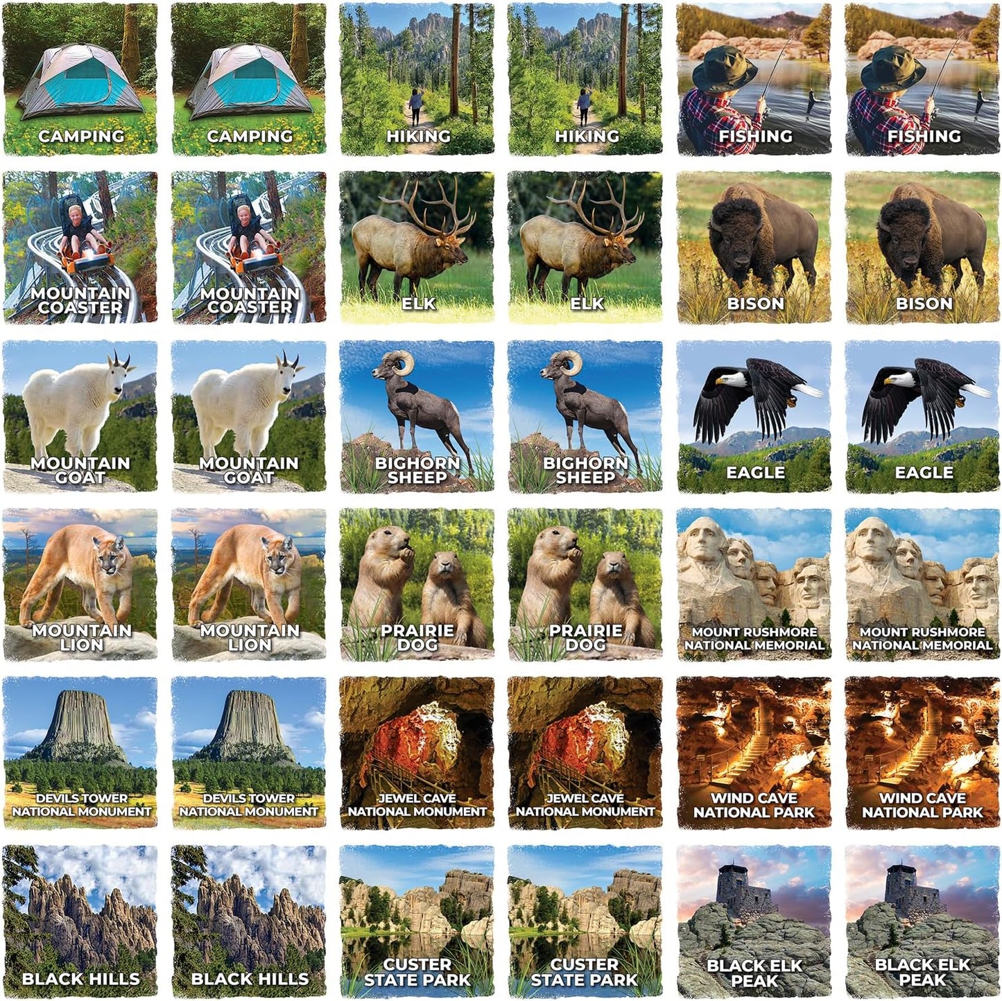 MasterPieces Officially Licensed CAT Picture Matching Card Game for Kids and Families