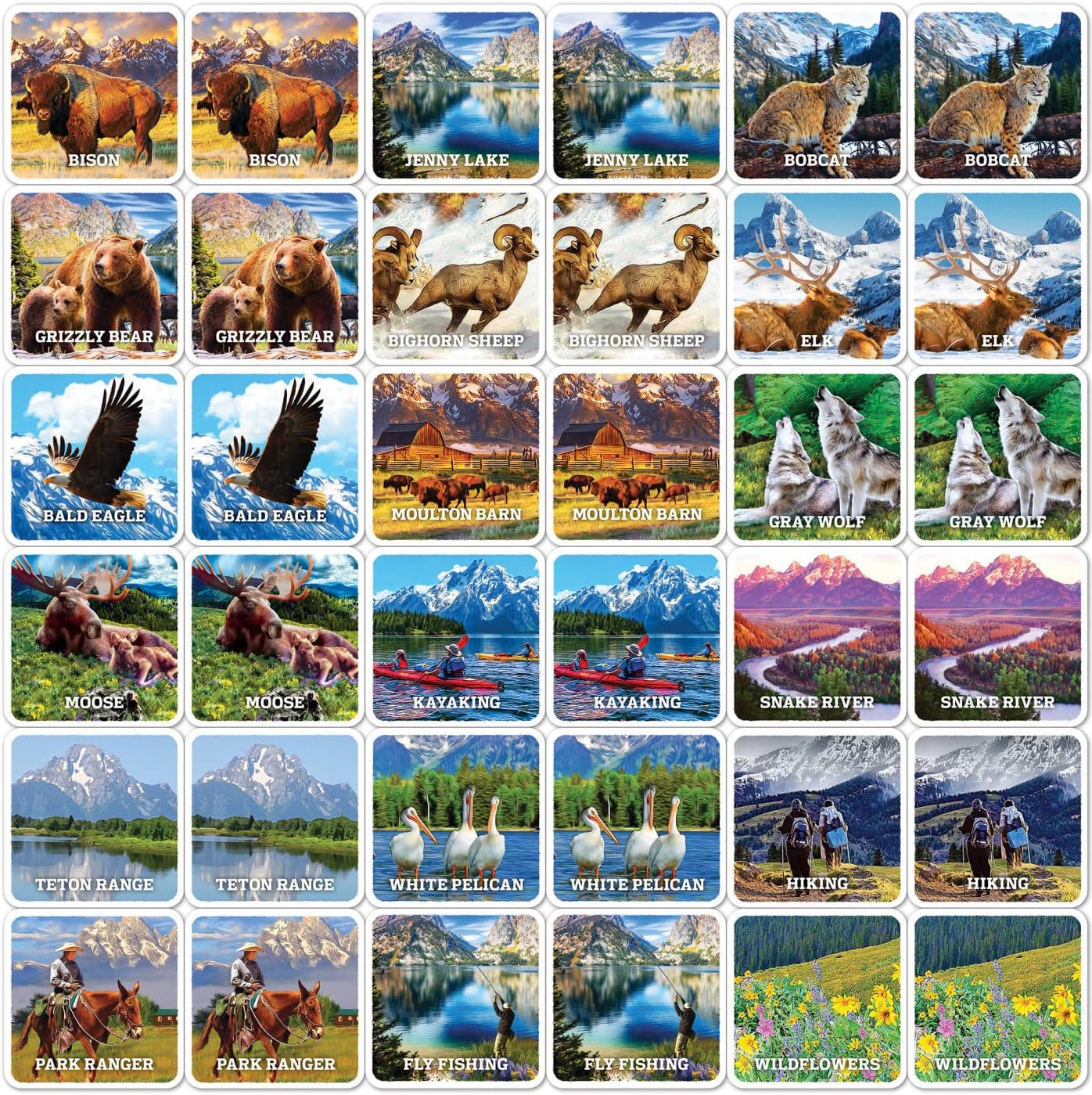 MasterPieces Officially Licensed CAT Picture Matching Card Game for Kids and Families