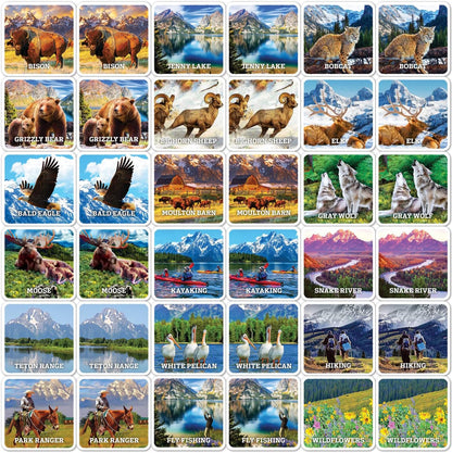 MasterPieces Officially Licensed CAT Picture Matching Card Game for Kids and Families