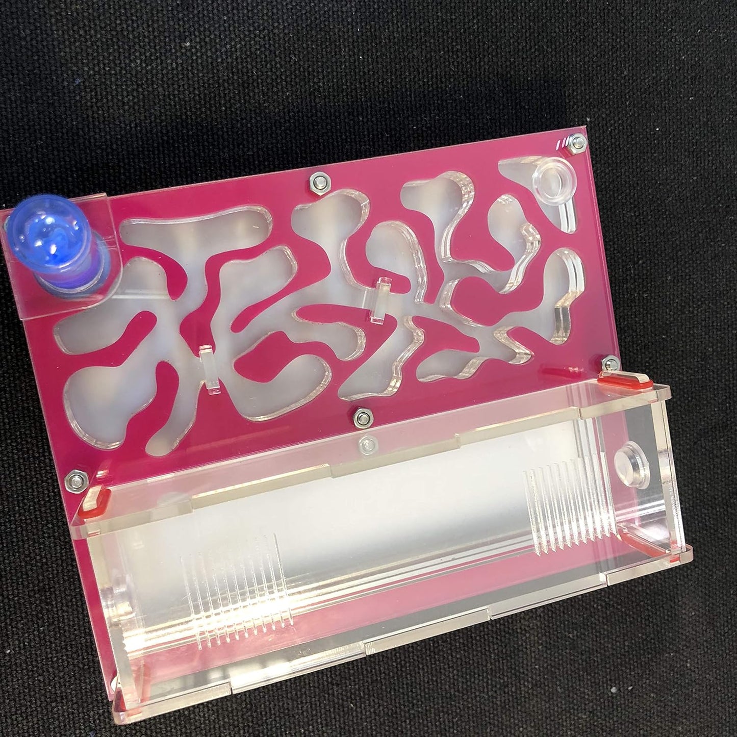 ANT 150mmx110mm Test Tube Moisture Big Space Nest Farm Acrylic, Insect Villa House Ecological Workshop (Pink)
