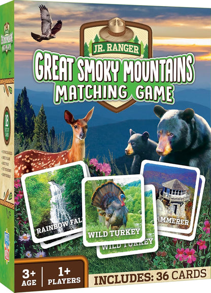 MasterPieces Officially Licensed CAT Picture Matching Card Game for Kids and Families