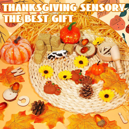 Hiawbon Thanksgiving Sensory Bin Kits, Fall Sensory Bin Fillers, Maple Leaves Pumpkins Pine Cones Sensory Box for Thanksgiving Fall Decor Birthday