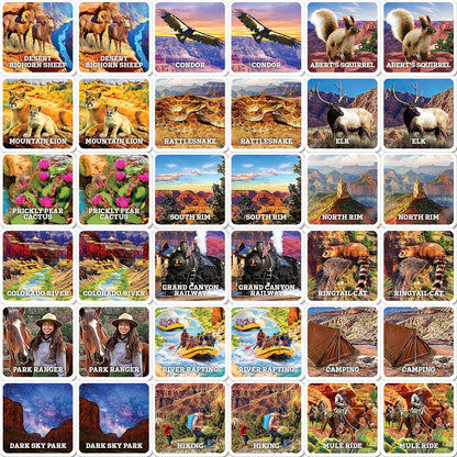 MasterPieces Officially Licensed CAT Picture Matching Card Game for Kids and Families