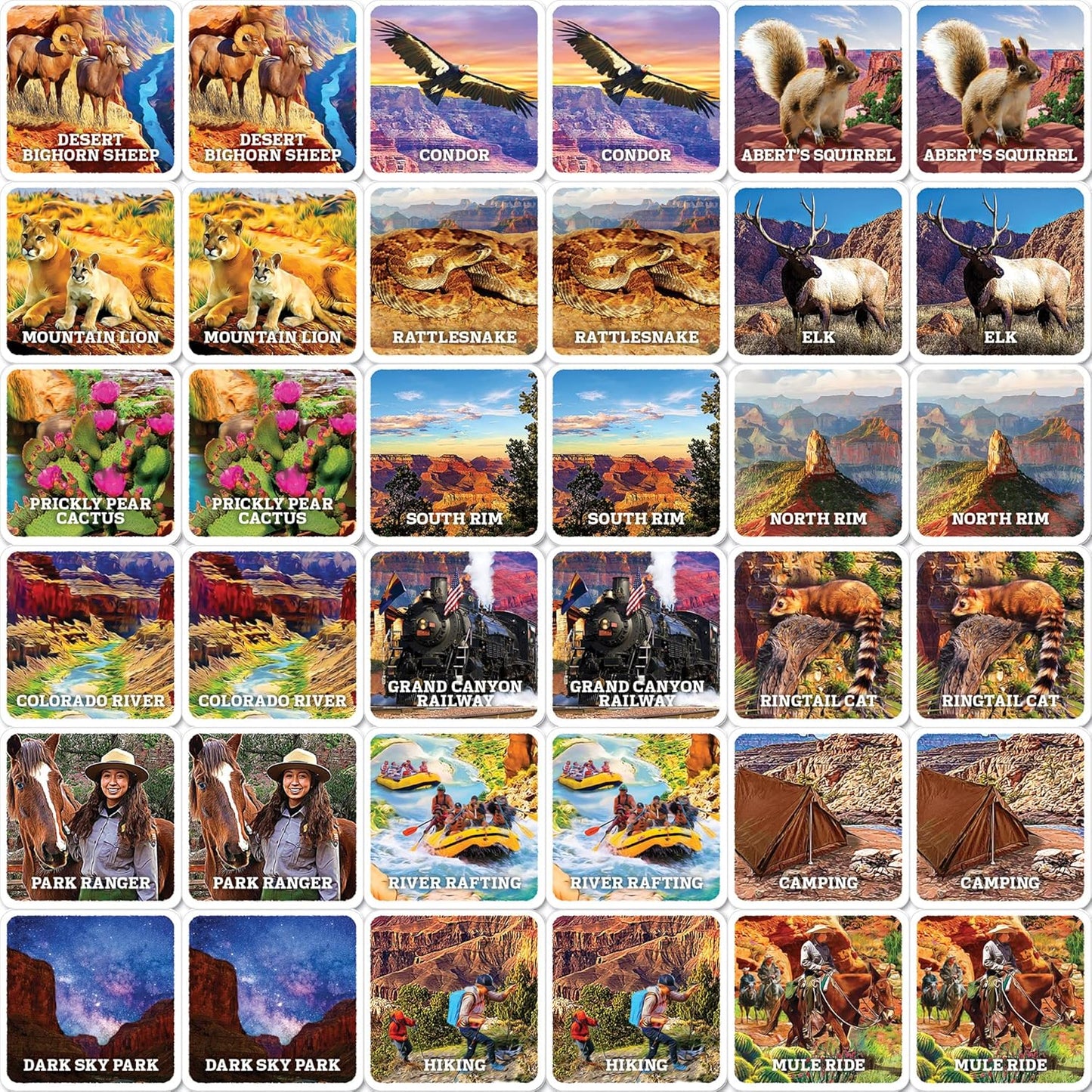 MasterPieces Officially Licensed CAT Picture Matching Card Game for Kids and Families