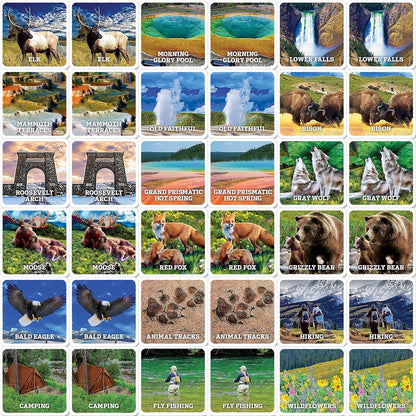 MasterPieces Officially Licensed CAT Picture Matching Card Game for Kids and Families