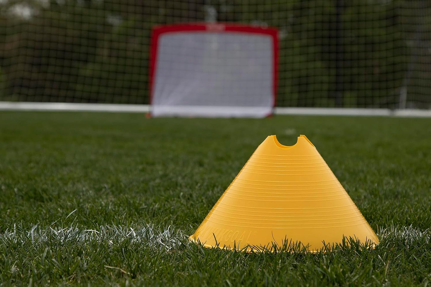 Jumbo Disc Cones, Pack of 12