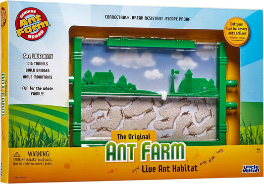 Ant Farm