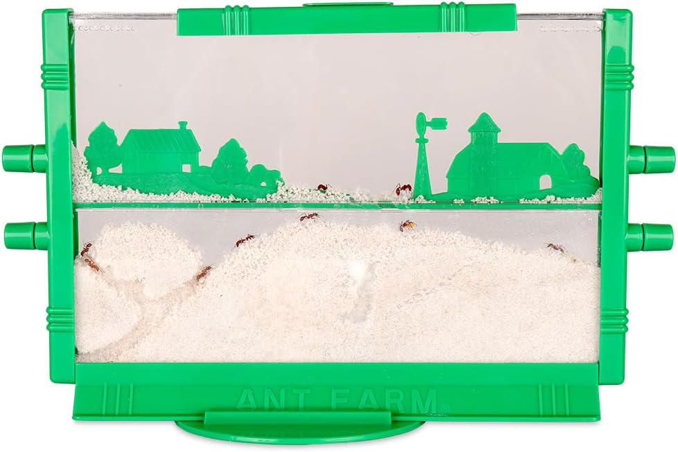 Ant Farm