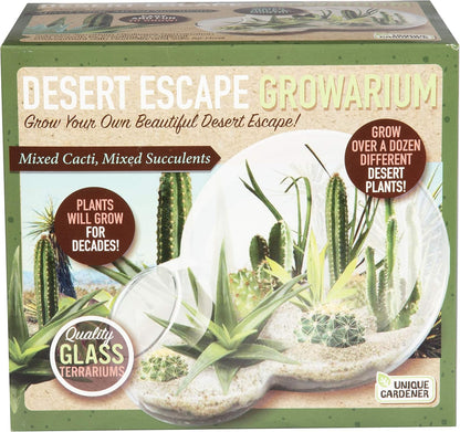 Grow Your Own Venus Fly Trap, Kids Garden Glass Terrarium Starting Kit to Sprout Flytrap and Sundew Plants, Includes Seed and Complete Terrarium Supplies for The Plant to Thrive